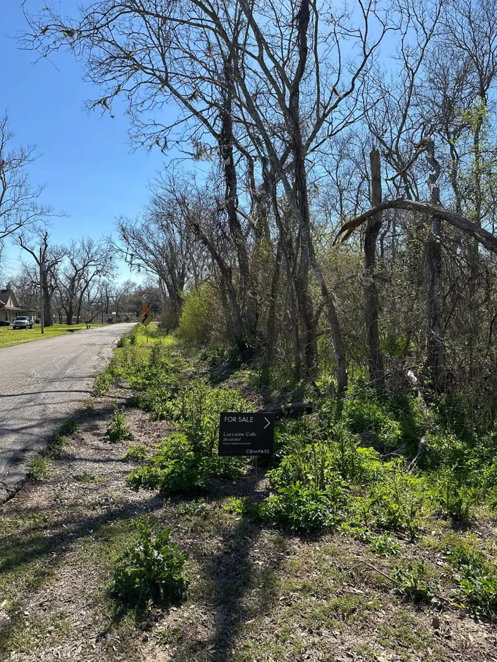 Tbd Cr 703 West Columbia, TX 77486