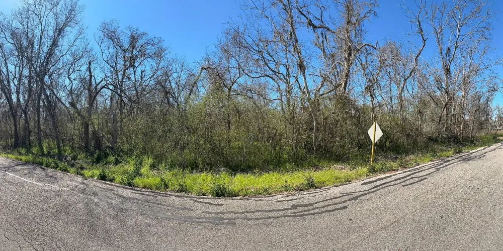 Tbd Cr 703 West Columbia, TX 77486