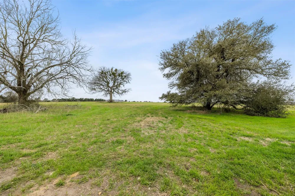 108 Turney Trace Round Top, TX 78954