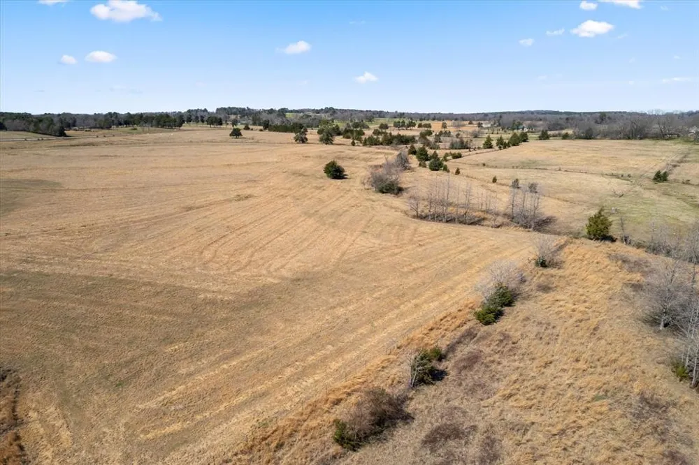 FM 21 Mt Pleasant, TX 75455