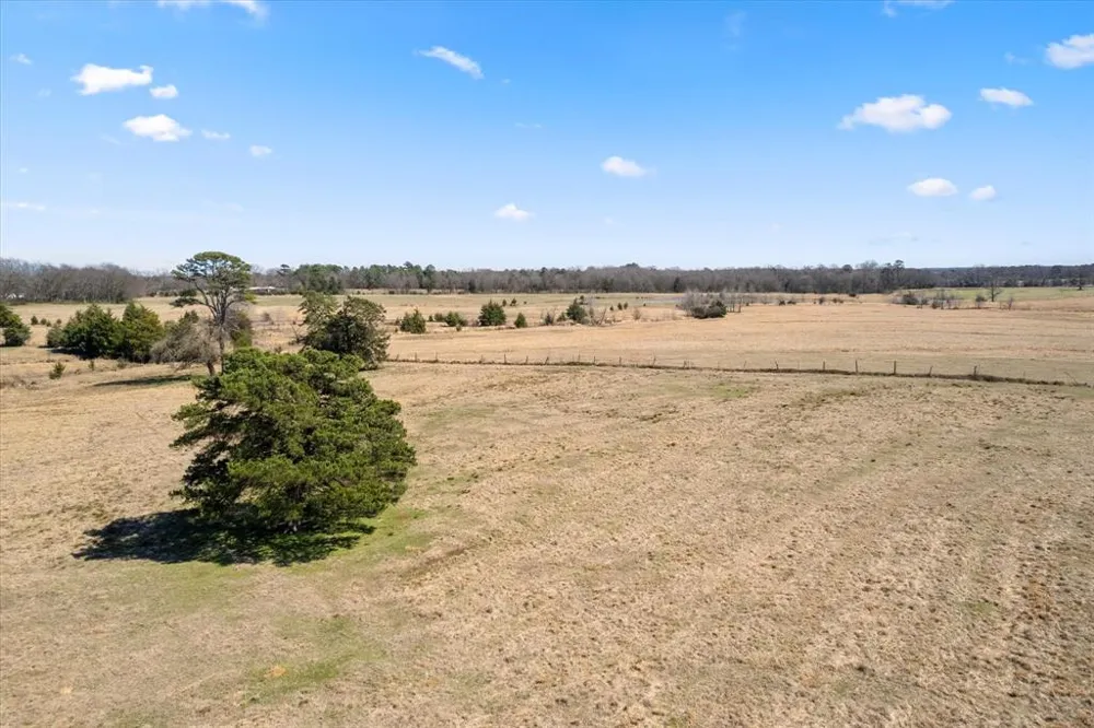 FM 21 Mt Pleasant, TX 75455