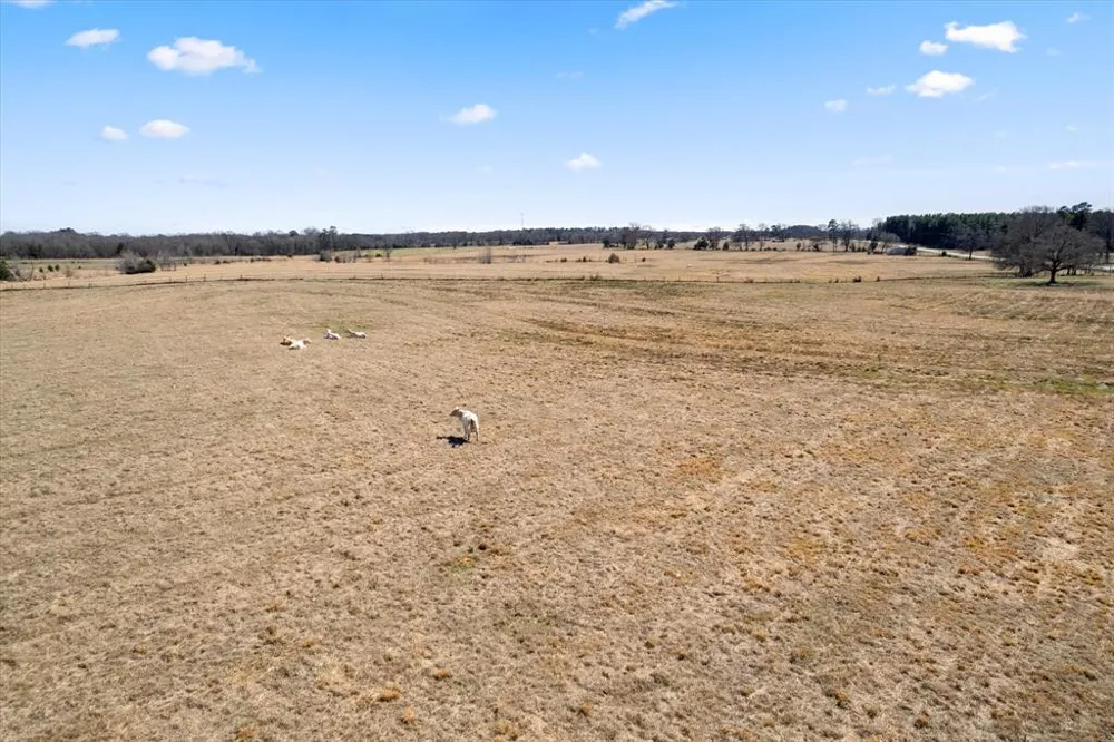 FM 21 Mt Pleasant, TX 75455