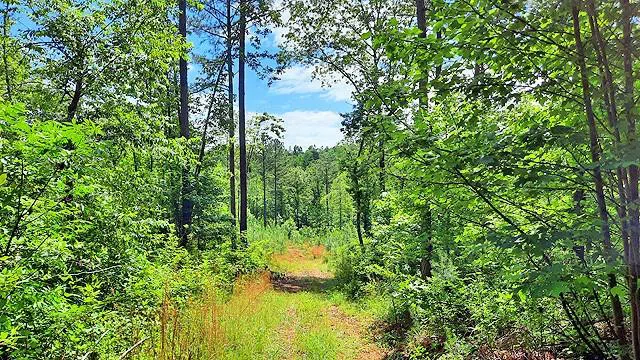2243 Damascus Road Ball Ground, GA 30107