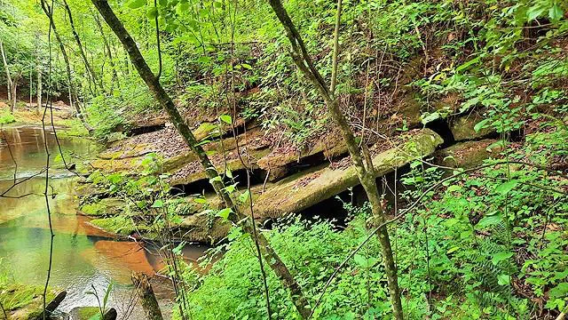 2243 Damascus Road Ball Ground, GA 30107