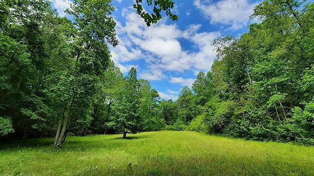 2243 Damascus Road Ball Ground, GA 30107