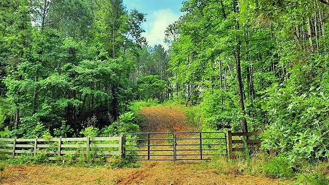 2243 Damascus Road Ball Ground, GA 30107