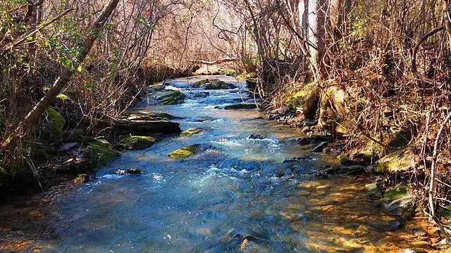 2243 Damascus Road Ball Ground, GA 30107