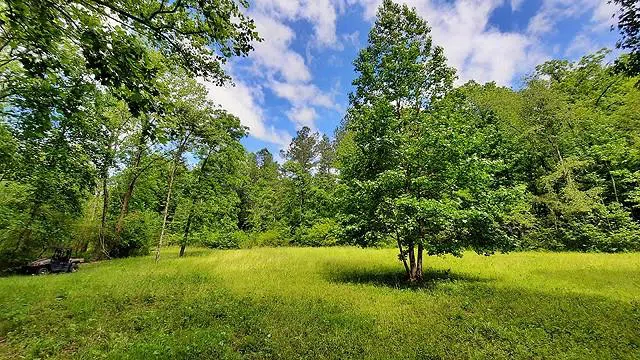 2243 Damascus Road Ball Ground, GA 30107