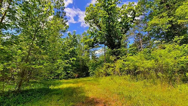 2243 Damascus Road Ball Ground, GA 30107