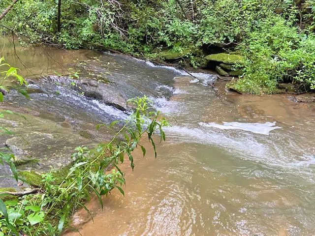 2243 Damascus Road Ball Ground, GA 30107