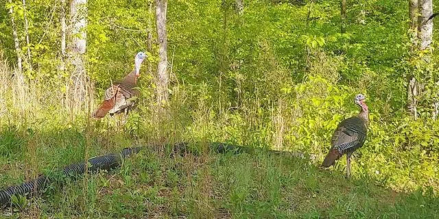 2243 Damascus Road Ball Ground, GA 30107