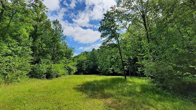 2243 Damascus Road Ball Ground, GA 30107