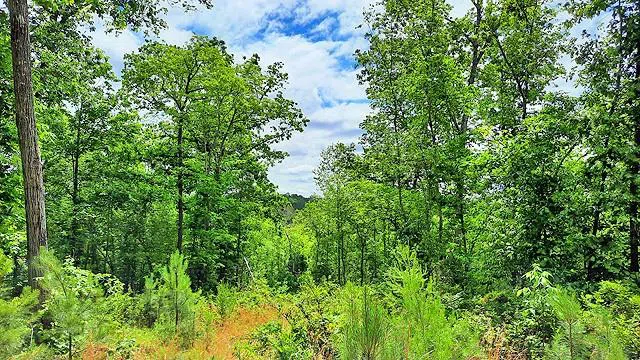 2243 Damascus Road Ball Ground, GA 30107