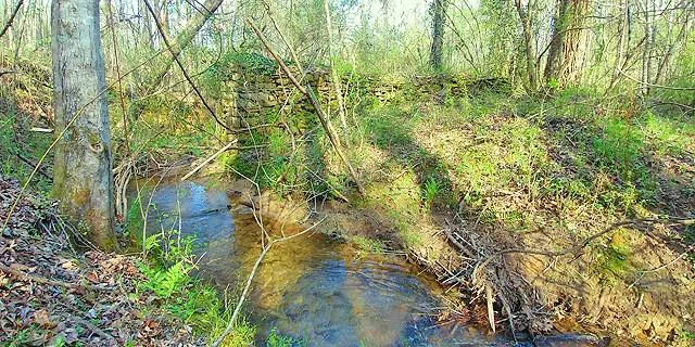 2243 Damascus Road Ball Ground, GA 30107