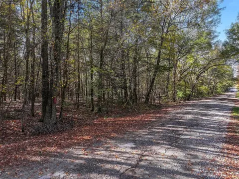 VZ County Road 3117