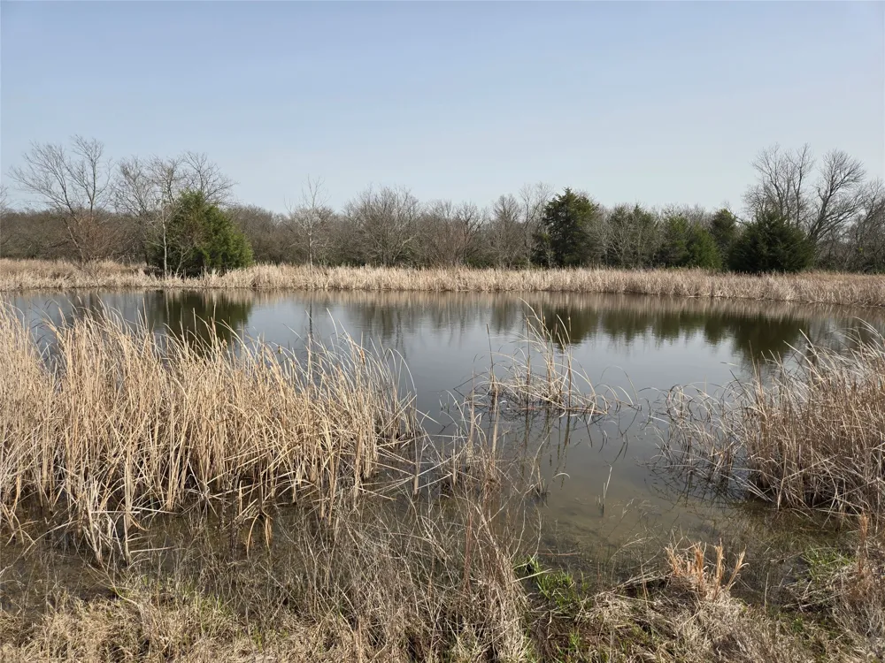 1001 Atkins Drive Celeste, TX 75423