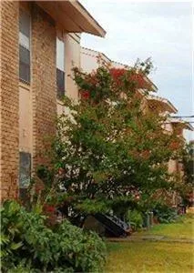 500 E 7th Street Springtown, TX 76082
