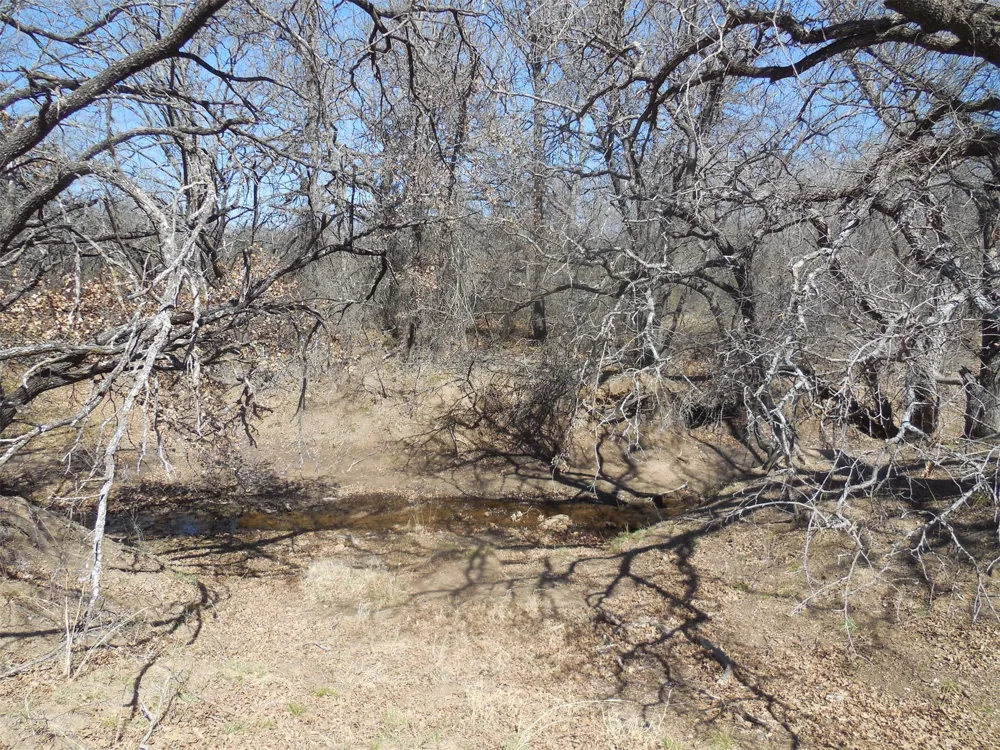 426 County Road 194 Eastland, TX 76448