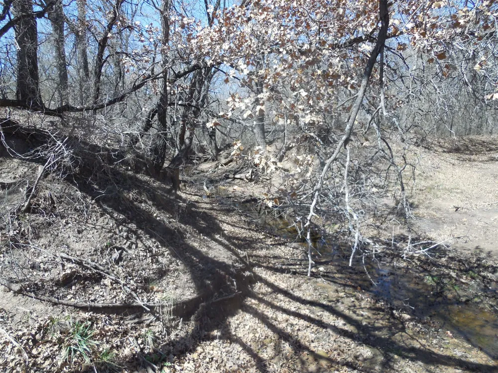 426 County Road 194 Eastland, TX 76448