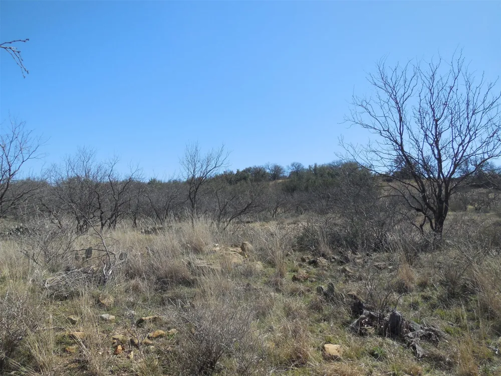 426 County Road 194 Eastland, TX 76448