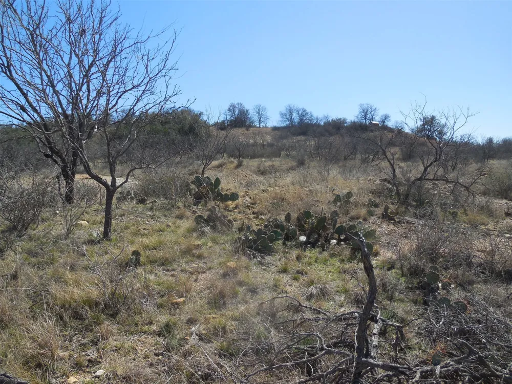 426 County Road 194 Eastland, TX 76448