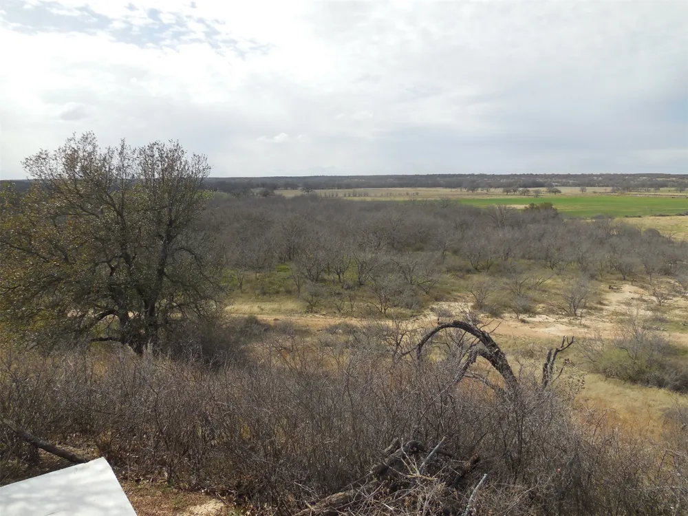 426 County Road 194 Eastland, TX 76448
