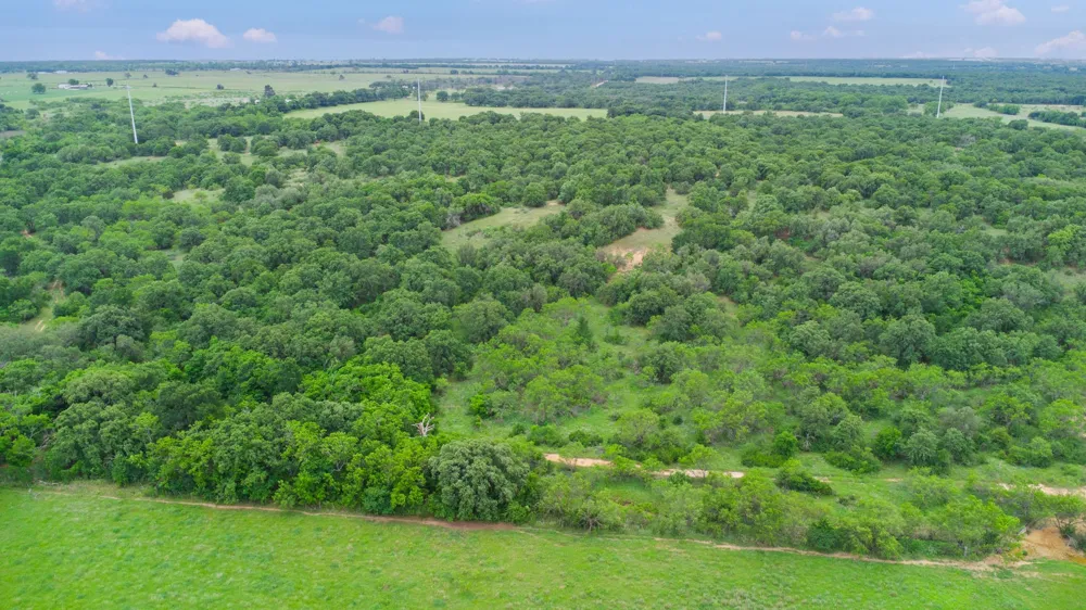 426 County Road 194 Eastland, TX 76448