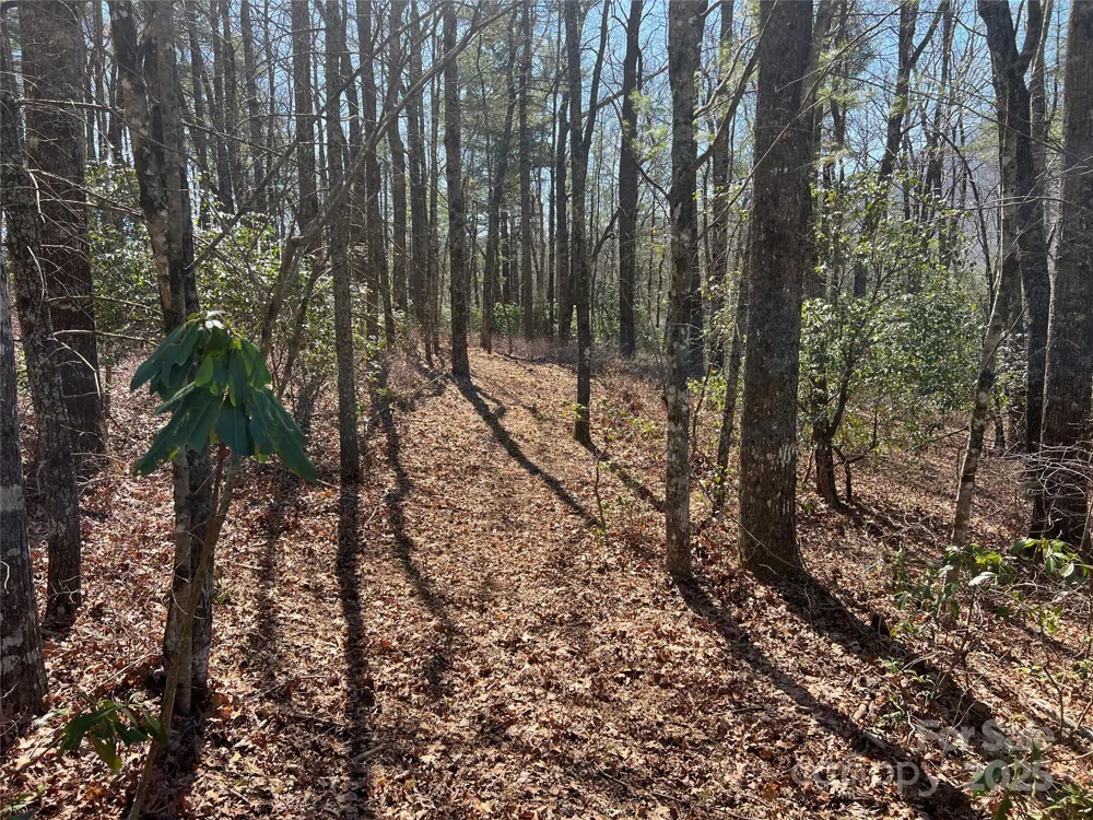 TBD Panther Ridge Road Lake Toxaway, NC 28747