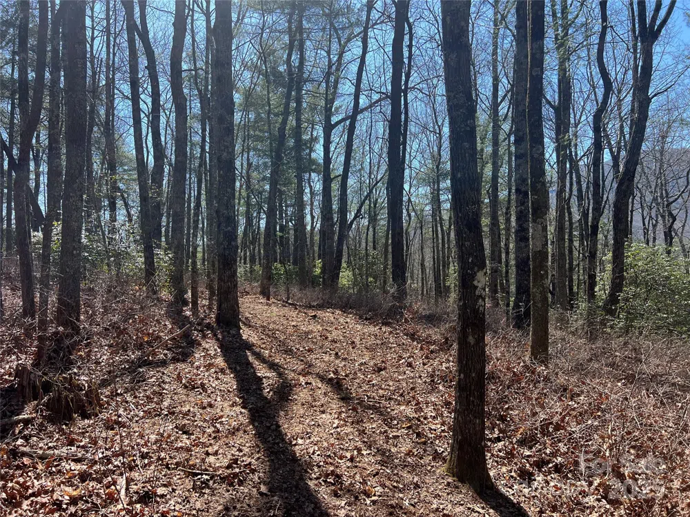 TBD Panther Ridge Road Lake Toxaway, NC 28747