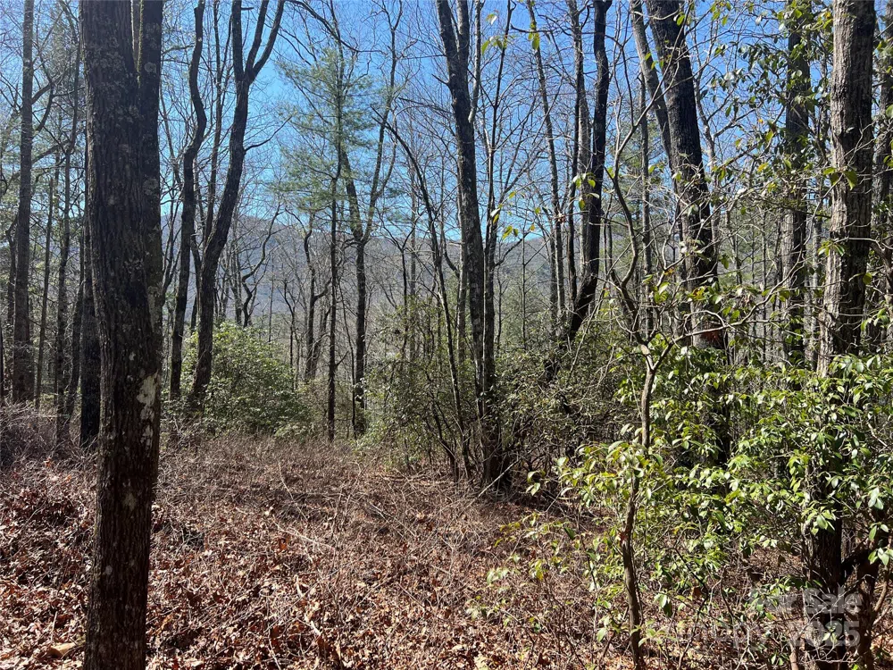 TBD Panther Ridge Road Lake Toxaway, NC 28747