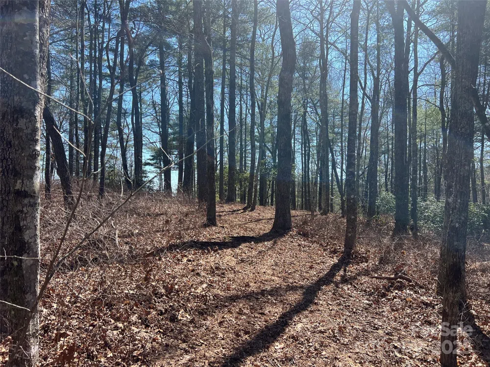 TBD Panther Ridge Road Lake Toxaway, NC 28747
