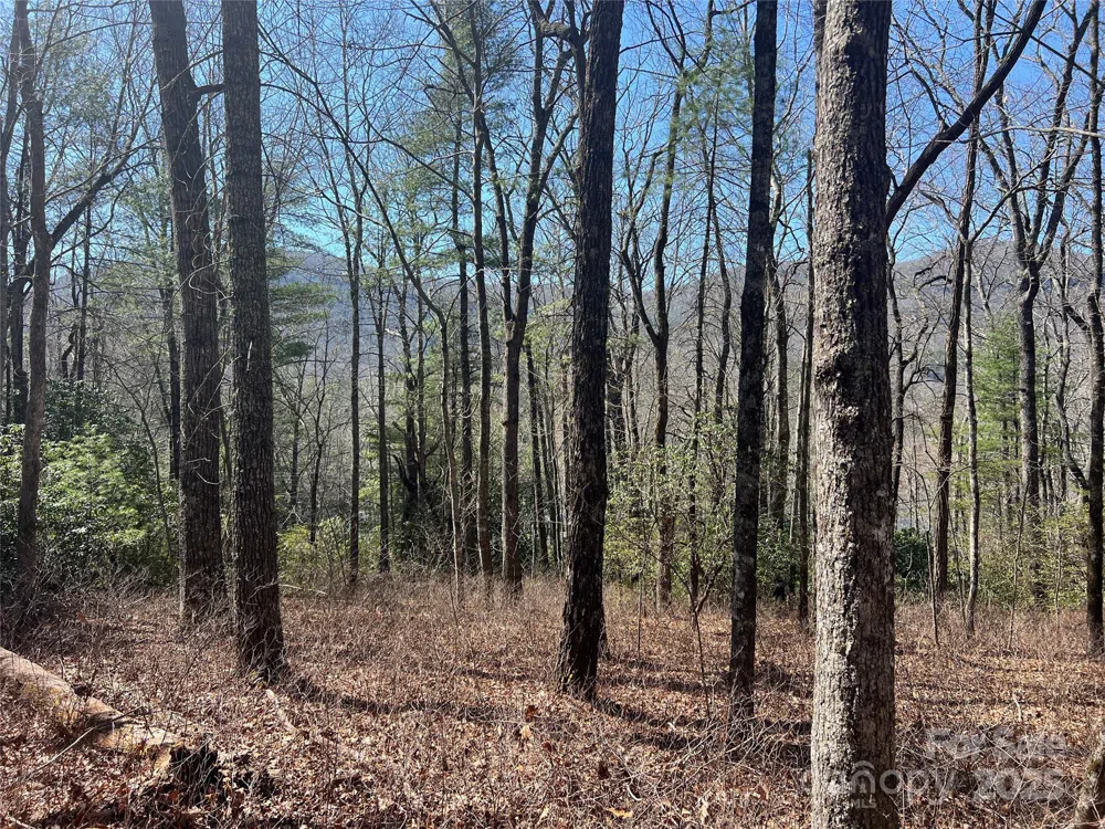 TBD Panther Ridge Road Lake Toxaway, NC 28747