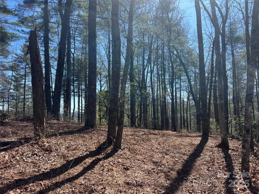 TBD Panther Ridge Road Lake Toxaway, NC 28747