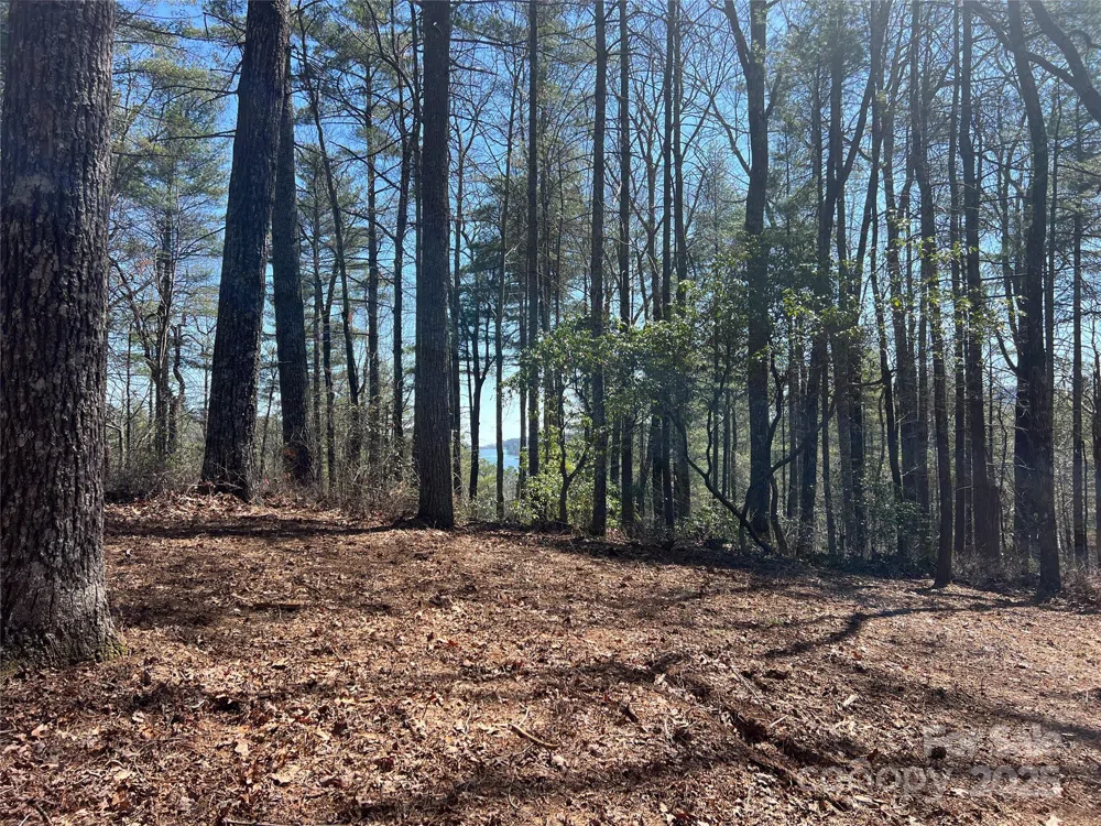 TBD Panther Ridge Road Lake Toxaway, NC 28747