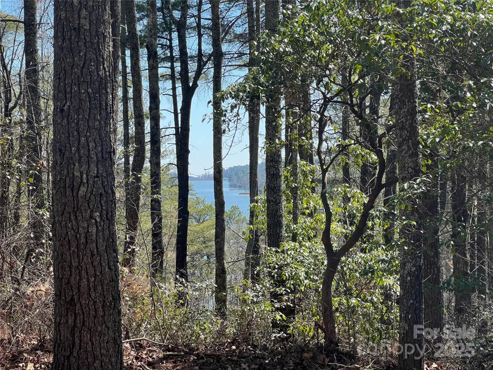 TBD Panther Ridge Road Lake Toxaway, NC 28747