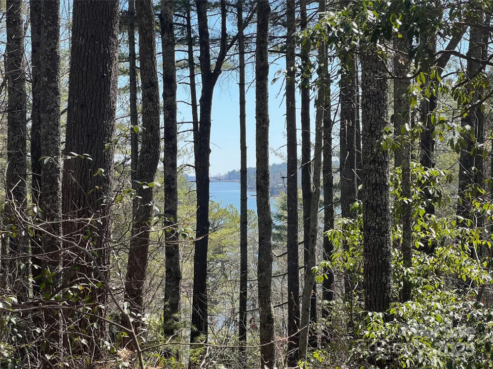 TBD Panther Ridge Road Lake Toxaway, NC 28747
