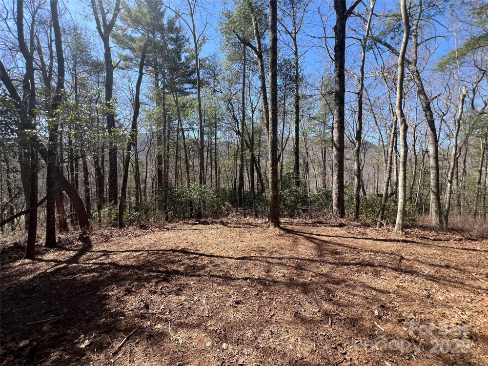 TBD Panther Ridge Road Lake Toxaway, NC 28747