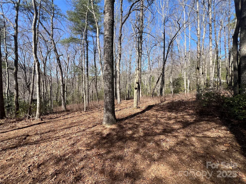TBD Panther Ridge Road Lake Toxaway, NC 28747