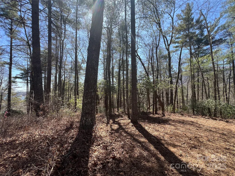 TBD Panther Ridge Road Lake Toxaway, NC 28747