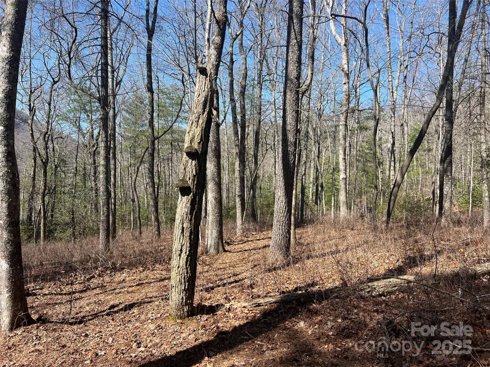 TBD Panther Ridge Road Lake Toxaway, NC 28747