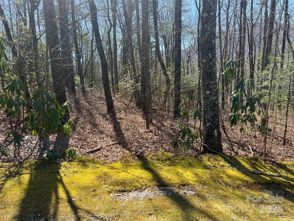 TBD Panther Ridge Road Lake Toxaway, NC 28747