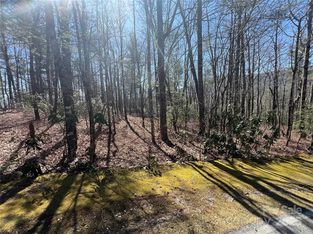 TBD Panther Ridge Road Lake Toxaway, NC 28747