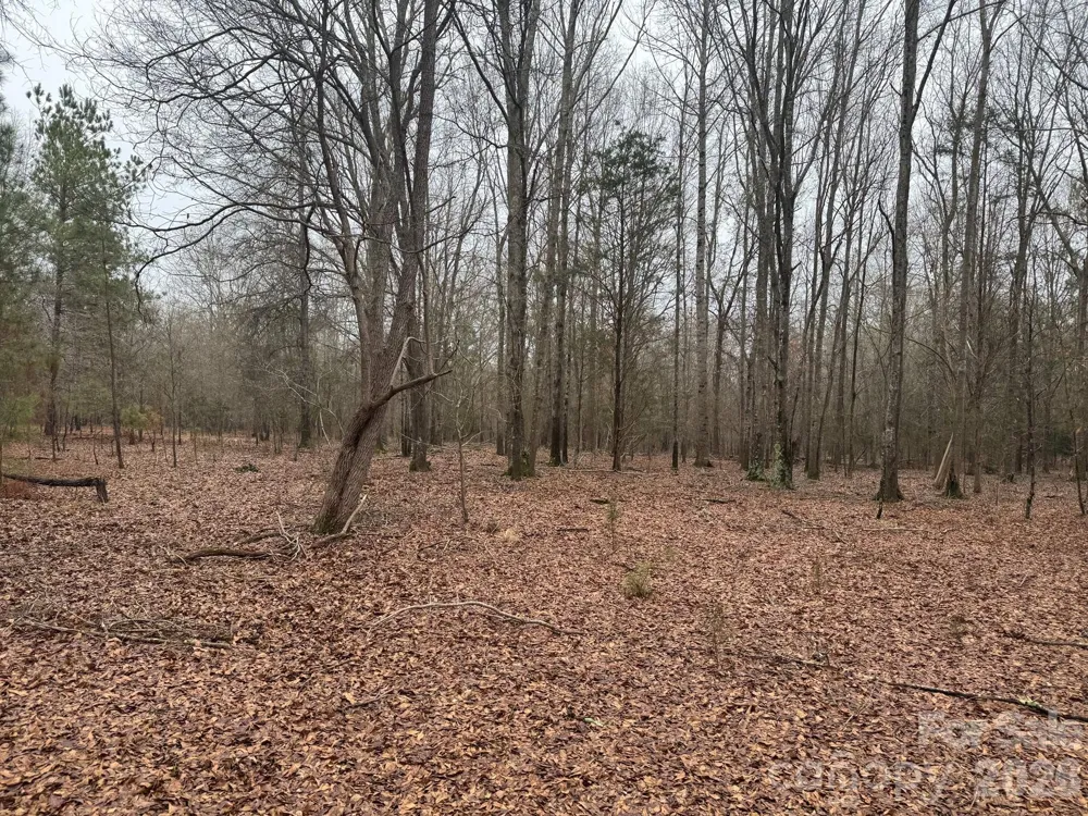 4252-1 Reid Road Rock Hill, SC 29730