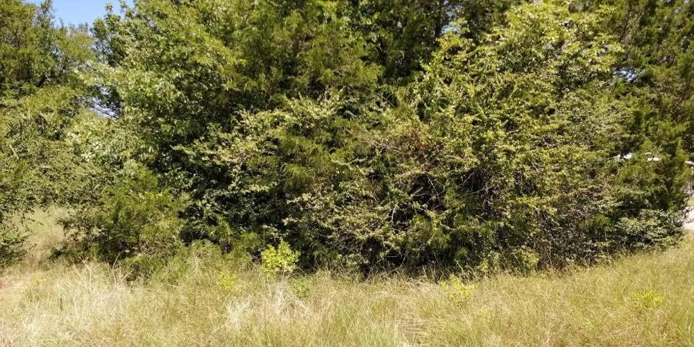 634 Shoshone Drive Gordonville, TX 76245