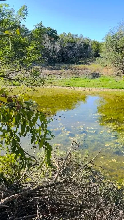 1220 E FM 243 ROAD E Bertram, TX 78605