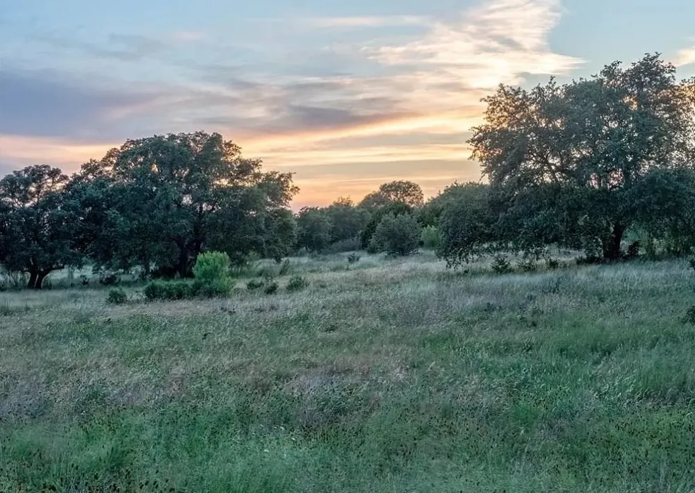 185 Three Creeks Drive Bertram, TX 78605