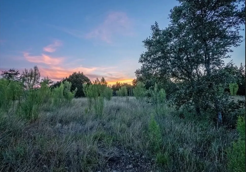185 Three Creeks Drive Bertram, TX 78605