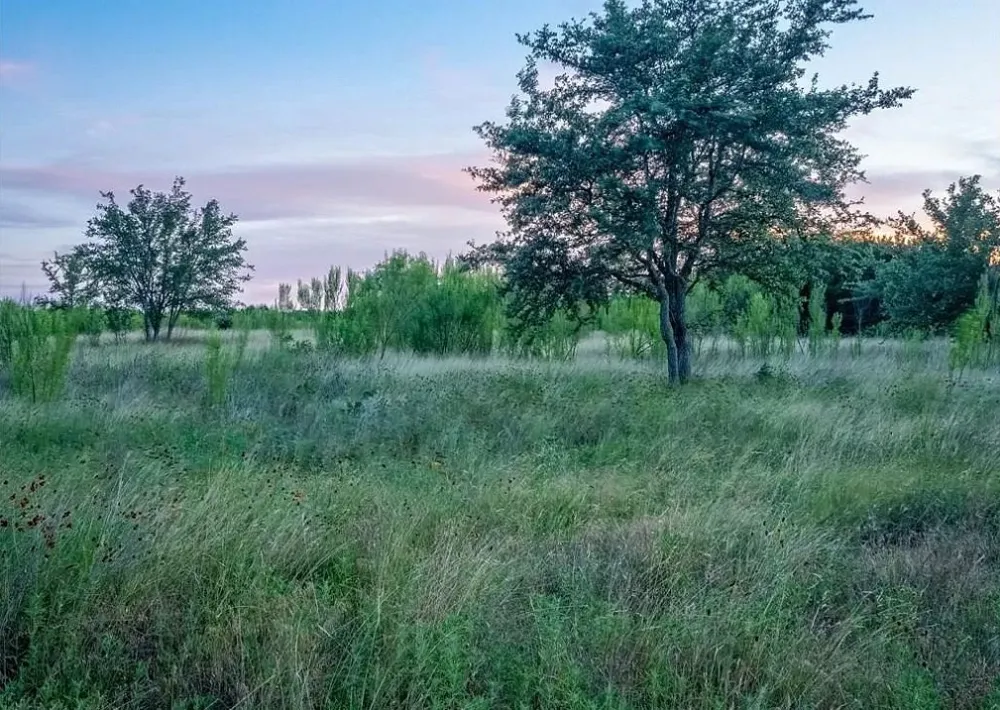 185 Three Creeks Drive Bertram, TX 78605