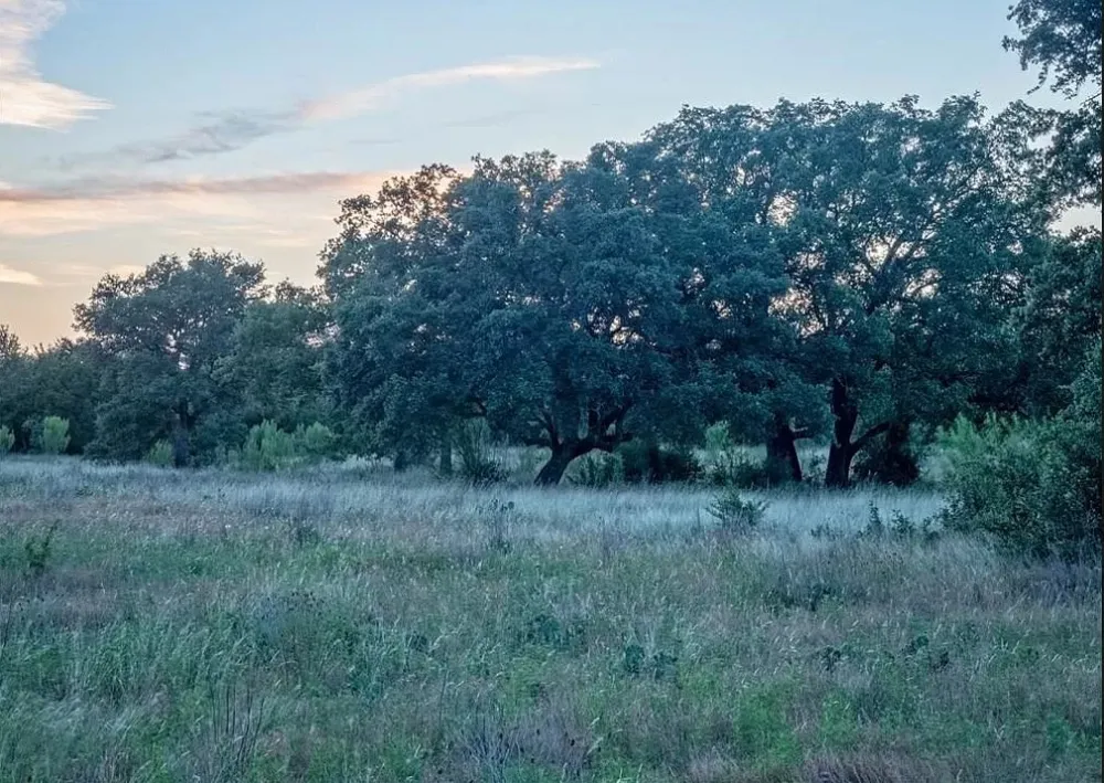 185 Three Creeks Drive Bertram, TX 78605