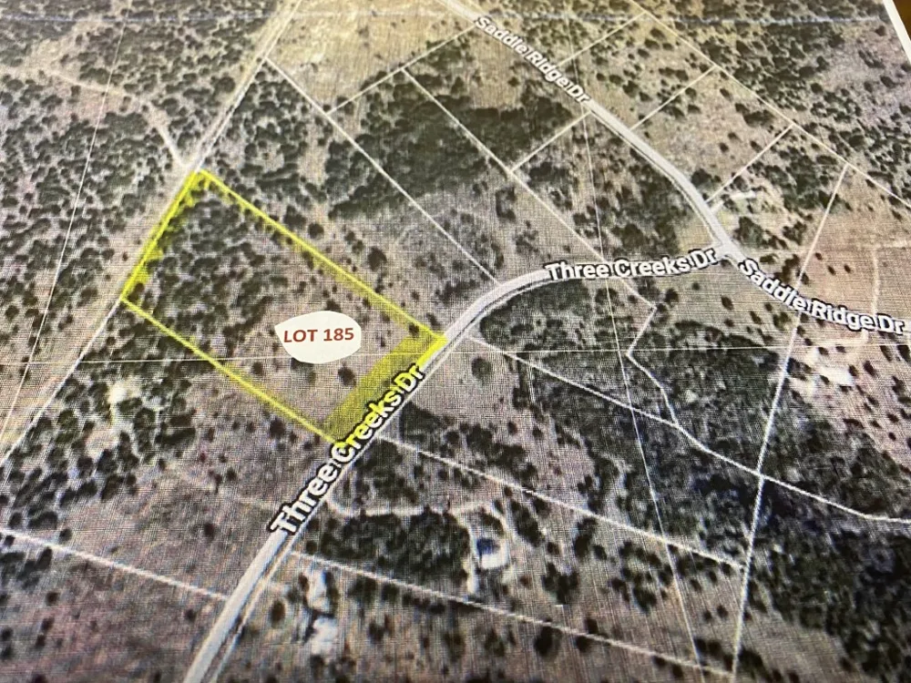 185 Three Creeks Drive Bertram, TX 78605